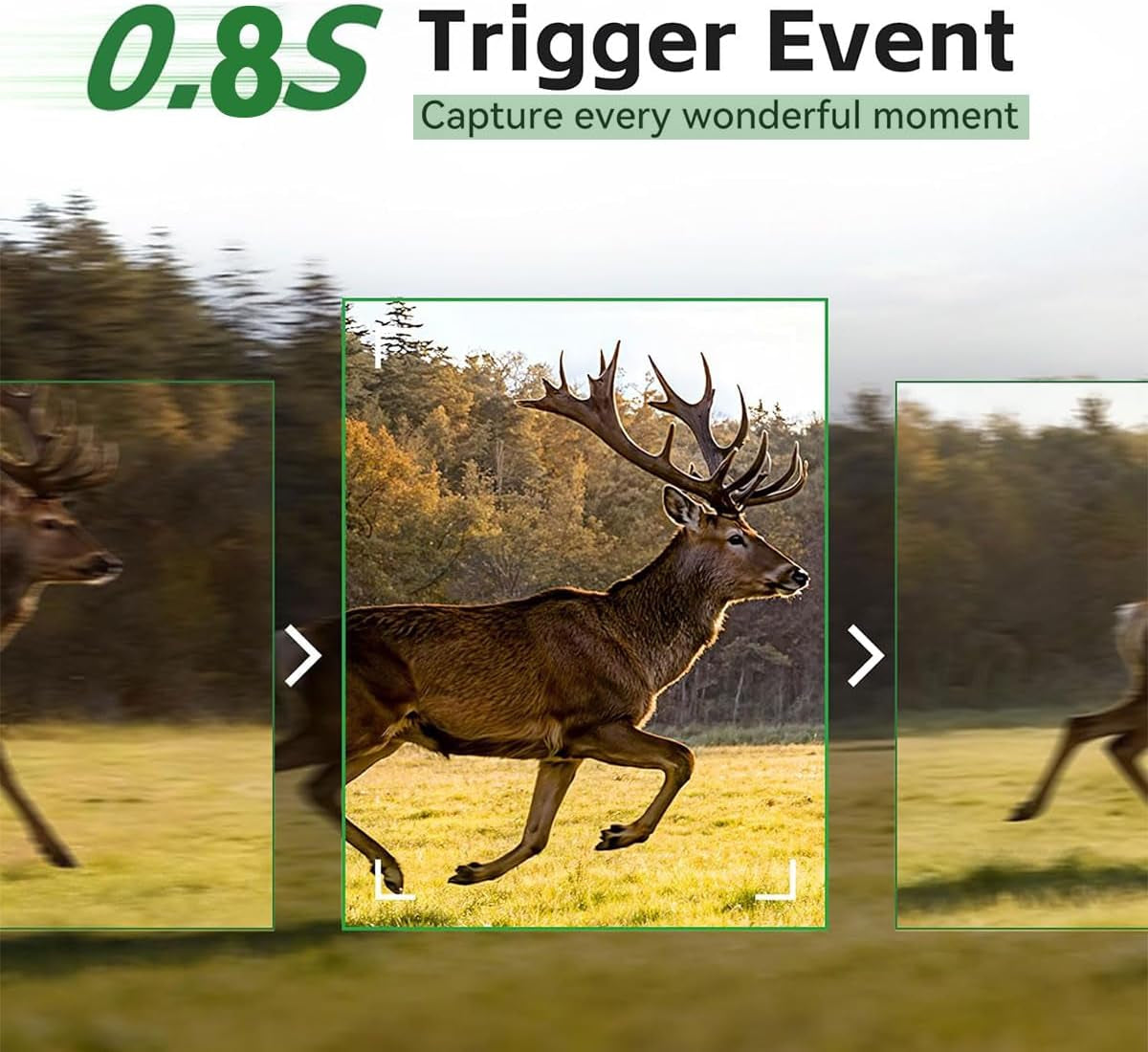 Trail Camera, 1080P Mini Game Camera with Night Vision 0.8S Trigger Time | Motion Activated 130°Wide-Angle, Waterproof Trail Cam 2.0” HD TFT Screen,Hunting Camera for Outdoor Wildlife Monitoring